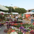 Novosadska cvetna pijaca u petak i subotu na platou Spensa