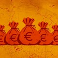 Kako javni dug Srbije utiče na vaš novčanik
