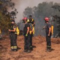 Kokai: Izgorelo sedam do osam odsto šume u Deliblatskoj peščari