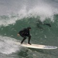 Ajkula unakazila surfera! Novi stravičan napad morskog psa kod plaže u Australiji, muškarac (50) teško povređen, daska…