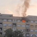 Gori stan u Beogradu! 3 vatrogasna vozila na licu mesta, bore se sa vatrenom stihijom