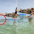 (Video) Žena pala sa daske za surfovanje direktno na ajkulu! Uplašeno gledala kako morska neman kruži oko nje