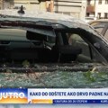 Jak vetar obarao drveće po automobilima u Beogradu: Evo kako da naplatite štetu VIDEO