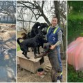 Divan gest mladenaca magdalene i Ervina i na svadbi brinuli o napuštenim životinjama