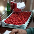 Гламочић најавио заштиту домаћих малинара од прекомерног увоза