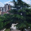 Izbacimo kabasti otpad: Akcija u Vranju