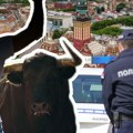 Bik ubio muškarca