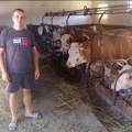 Više mleka, bolja hrana i veća zarada: Kragujevac sprovodi projekat za unapređenje stočarske proizvodnje