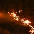 Požar kod Jagodine pod kontrolom, zahvaćeno 20 hektara šume na Liparu
