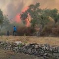 Požar na tasosu: Vatrena stihija zahvatila masline i platane