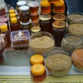 Sajma bilja, meda i gljiva za vikend u Vranju