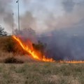 Požar Uz nasip Temerinskog mosta Gori suvo rastinje (video)