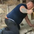 Uznemirujući snimak iz Leskovca: Zmije se uvukle porodici u temelje kuće – deca gledala kako ih vade! (video)
