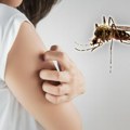 Evo kako brzo i lako da oterate komarce prirodnim putem: Zdravije je od hemikalija, a već sve potrebno imate kod kuće