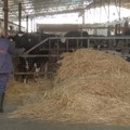 Na novosadskom Sajamu poljoprivrede o ženama u agrobiznisu