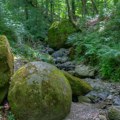 Džinovske kamene kugle kriju se u šumi kod Zavidovića: Teške su i po 37 tona, a misterija njihovog nastanka decenijama…