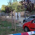 "Pucnjavi prethodio sukob više lica" Tužiteljka za Kurir: Najnoviji detalji pucnjave u Kragujevcu (foto)
