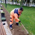Ekipe JKP „Mediana“ danas na više lokacija u Nišu: Čišćenje ulica, uređenje zelenila i orezivanje drveća