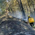 Požar u Stragarima stavljen pod kontrolu: Vatrogasci brzo reagovali (VIDEO)