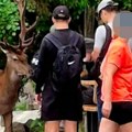 Skandalozno ponašanje turista sa jelenom: "Istresli su iz rančeva sve što su mogli i tek tad stali"