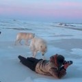 „Otišao sam na Arktik, fotografisao prirodu, a onda mi je prišao čopor vukova – desila se scena koju ću pamtiti ceo život“…