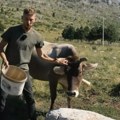 Filip imao plan još u osnovnoj: Dok su drugi jurcali za loptom, mali gorštak mozgao kako da kupi kozu! Džeparac na užinu nije…