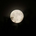 Ako ikada otputujemo na Mesec: O knjizi Marjorie Hope Nicolson „Voyages to the Moon“