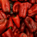 Kupujete paprike za zimnicu? Saznajte kako varaju prodavci na pijacama