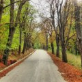 Hladno jutro, a tokom dana sunčano i toplo – temperatura do 28 stepeni
