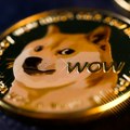 Dogecoin predvodi rast na kripto tržištu