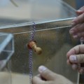 Istekao rok za izbornu registraciju u Boliviji, sprečena nova kandidatura Moralesa
