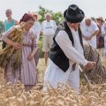 Ove godine „Žetelački dan“ u Mužlji na novoj lokaciji