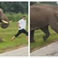 Muškarca sa balkana izgazio slon u Indiji! Sve zabeleženo kamerama, teško je povređen! (video)
