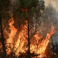 Može li "vatreni tornado" koji se pojavio u Francuskoj tokom požara da se javi i u Srbiji: "Ne može se kontrolisati"