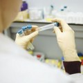 Javne nabavke: RFZO planira nabavku vakcina procenjene vrednosti 2,21 milijardu dinara