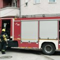 Požar u Batajnici: Gori nisko rastinje i suva trava