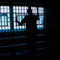 Ухапшен убица и паликућа, полиција га нашла у кукурузу код Уба