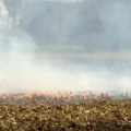 Alarmantna situacija na srpskim njivama Kukuruzovina i strnjika gore na oko 40.000 hektara