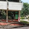 Velika grana pala u dvorištu niškog vrtića „Leptirić“, nema povređenih