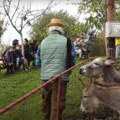 Novogodišnji bal magaraca u Crnoj Gori: Tradicionalna manifestacija okupila ljubitelje prirode i domaćih specijaliteta