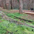 I pored zabrane zbog obrušavanja, građani posećuju Kamenički park, evo šta kažu nadležni (VIDEO)