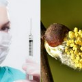 Personalizovana vakcina protiv alergije: Potencijalno rešenje u borbi protiv polena