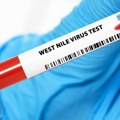 Virus Zapadnog Nila širi se Srbijom: Doktorka upozorava na napade i dugotrajan oporavak
