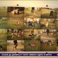 Fotografska postavka "Ljubav, vera, nada" da se ne zaboravi 1. novembar 2024. godine