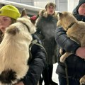 Rusija i prava životinja: Dramatična kampanja da se psi lutalice spasu od uspavljivanja