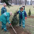 U dvorištu škole unutrašnjih poslova u Sremskoj Kamenici posađene 34 jelke