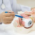 Rak oka: Koji su najvažniji faktori rizika – i kakvu ulogu igra boja očiju?