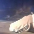 Teška saobraćajka na Ibarskoj magistrali: Automobil demoliran, srča po putu - objavljen jeziv snimak s mesta nesreće (video)…