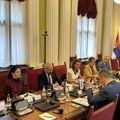 Poslanici vlasti i opozicije razgovarali sa delegacijom ODIHR-a o izborima
