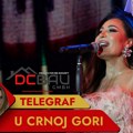 Ceca napravila haos u Crnoj Gori! U miniću raspametila hiljade ljudi, Top Hill goreo od atmosfere